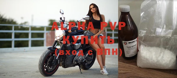 индика Аркадак