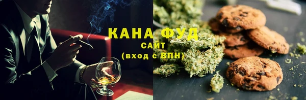 индика Аркадак