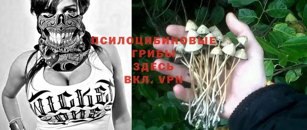 индика Аркадак