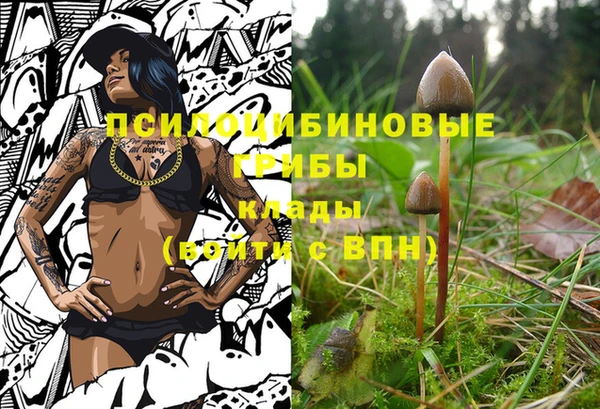 гашик Армянск