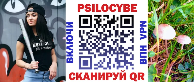сколько стоит  Бердск  Псилоцибиновые грибы Psilocybine cubensis 