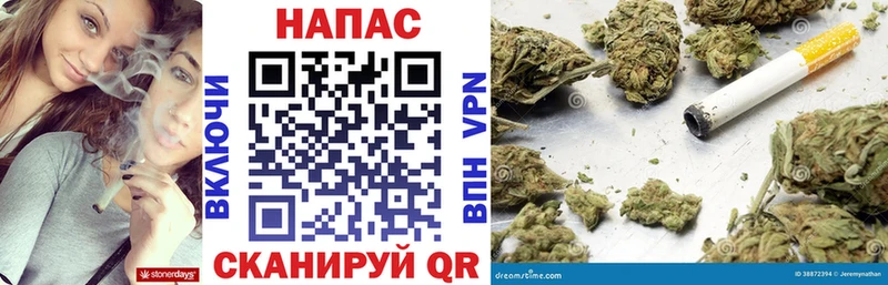 Бошки Шишки планчик  Бердск 